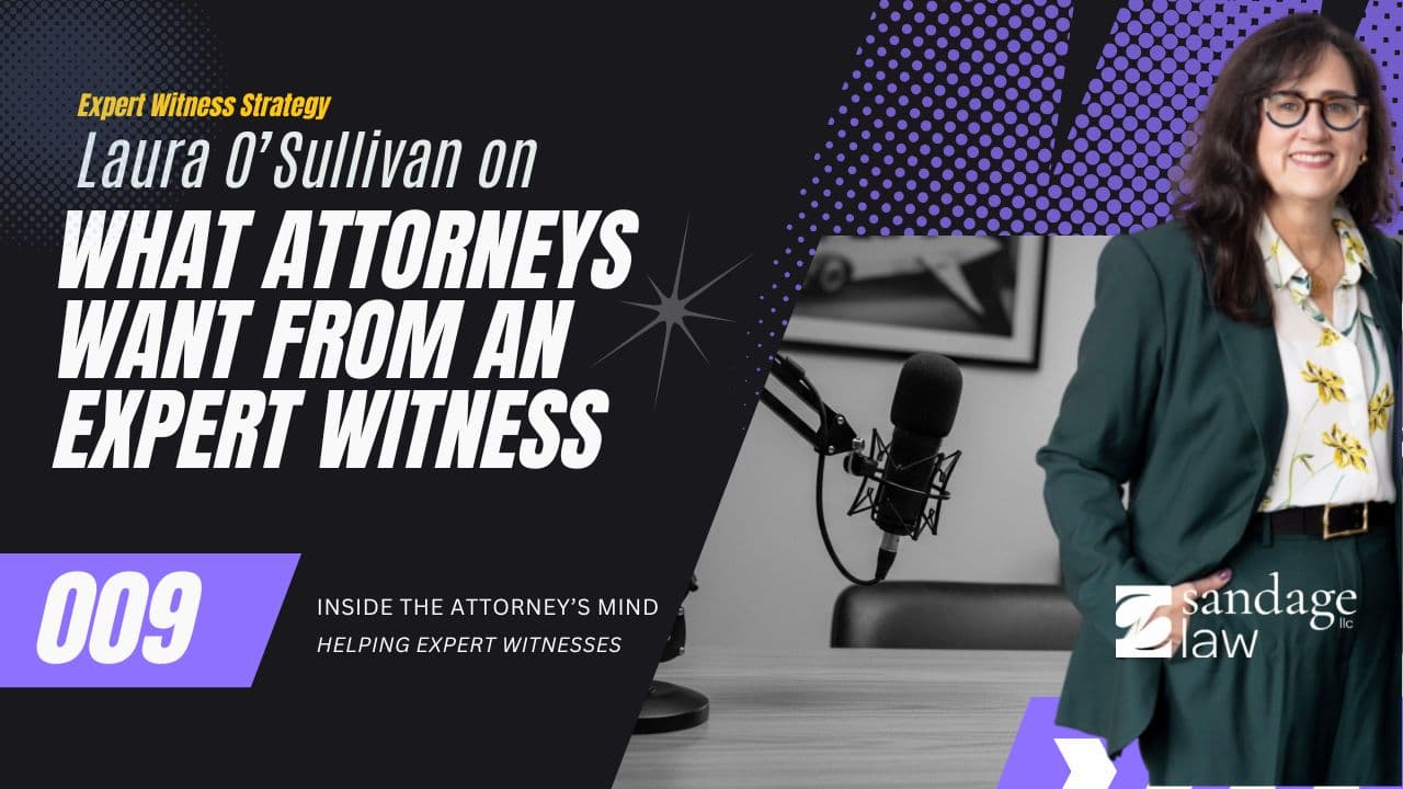 Laura O’Sullivan on What Criminal Defense Attorneys Actually Want From Expert Witnesses